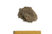 F 00030
          <br/>
          
          <br/>
          <em></em>